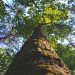 revelstoke-naturopath-kim-niddery-2
